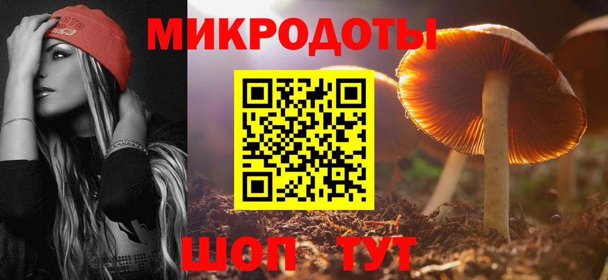 Псилоцибиновые грибы Psilocybe Шали